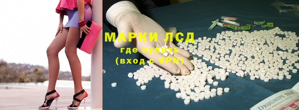 крисы Коряжма