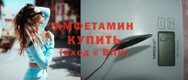 крисы Коряжма