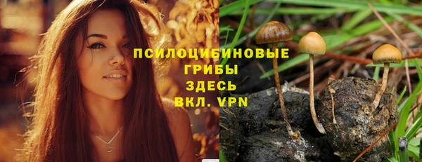 крисы Коряжма