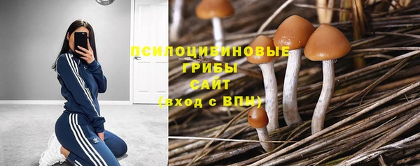 ешки Козельск